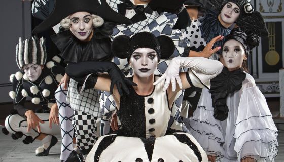 Цирк «Девочка и слон»