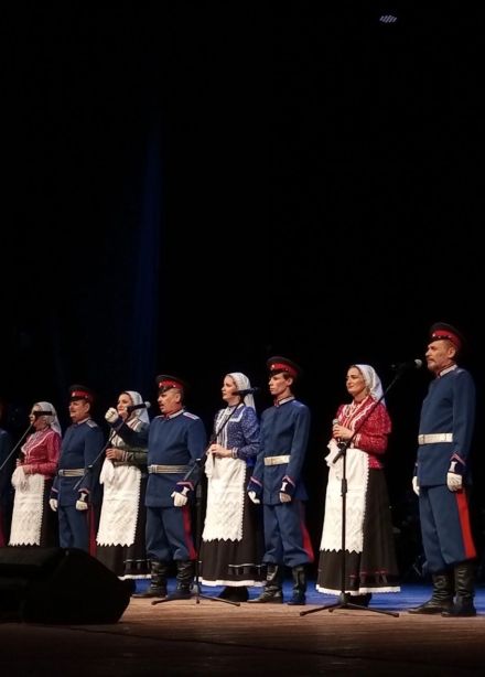 Ансамбль песни и пляски «Казачья воля»