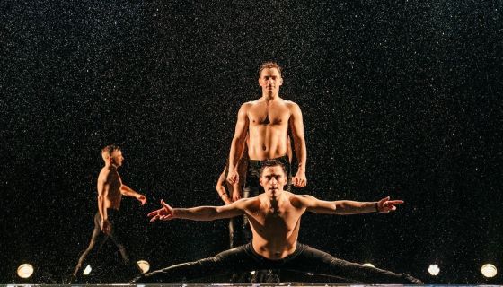 Шоу под дождём VII. И где, …, счастье?, Энгельс