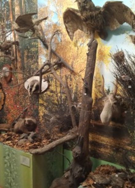 Природа Калининской земли. Экскурсия