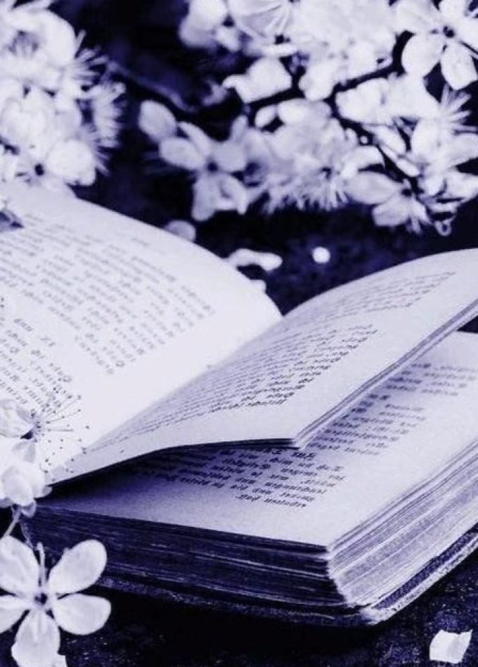 О поэте говорят стихи