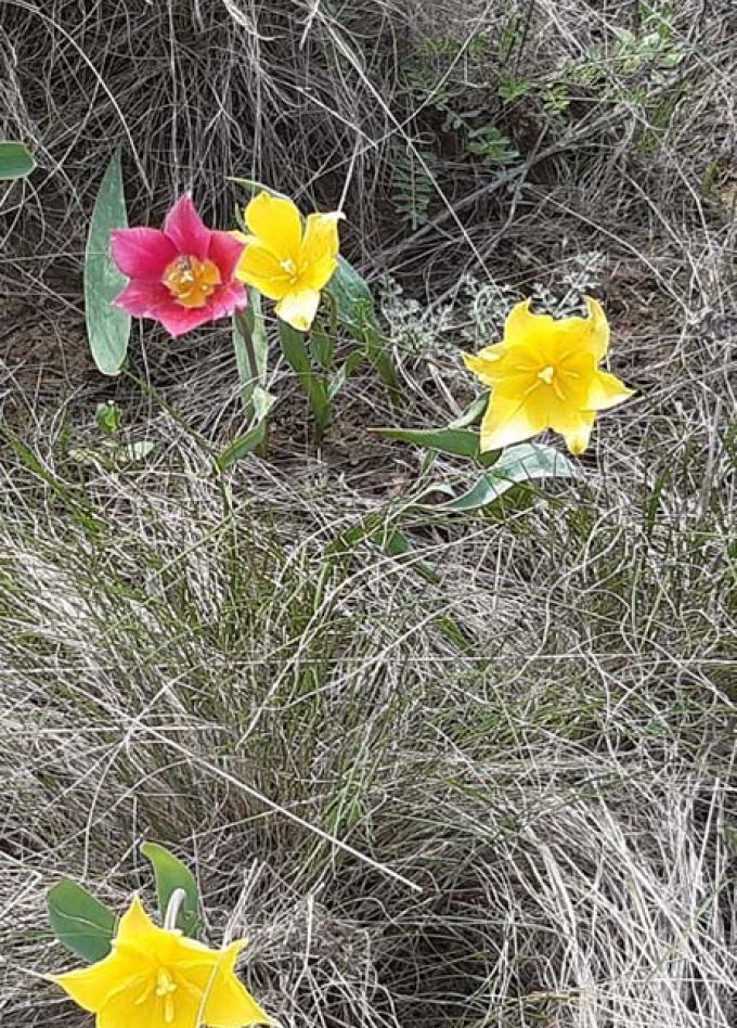 Мой край родной, моя сторонка. Краеведческий квиз