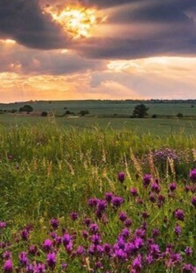 Тропинками родного края. Квиз