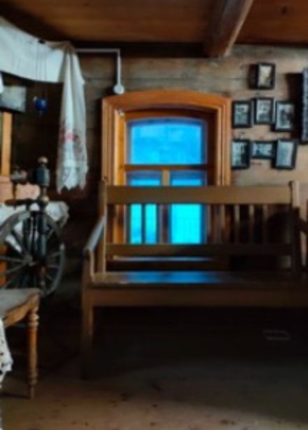 Жизнь семьи Чапаевых. Экскурсия