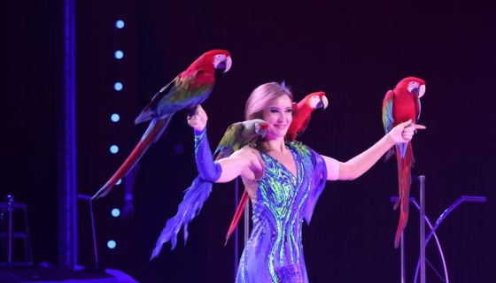 Цирк Ярослава Запашного «Тигры на земле и в воздухе»