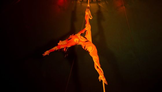 Цирк-шапито «Джокер», Балаково