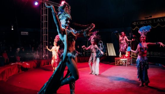 Цирк-шапито «Циркуслэнд». Шоу «Хищник и принцесса цирка», Энгельс