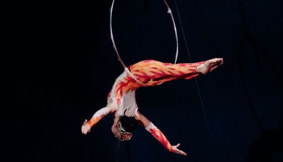 Цирк-шапито «Циркуслэнд». Шоу «Хищник и принцесса цирка», Энгельс