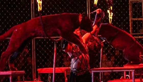 Цирк-шапито «Циркуслэнд». Шоу «Хищник и принцесса цирка», Энгельс